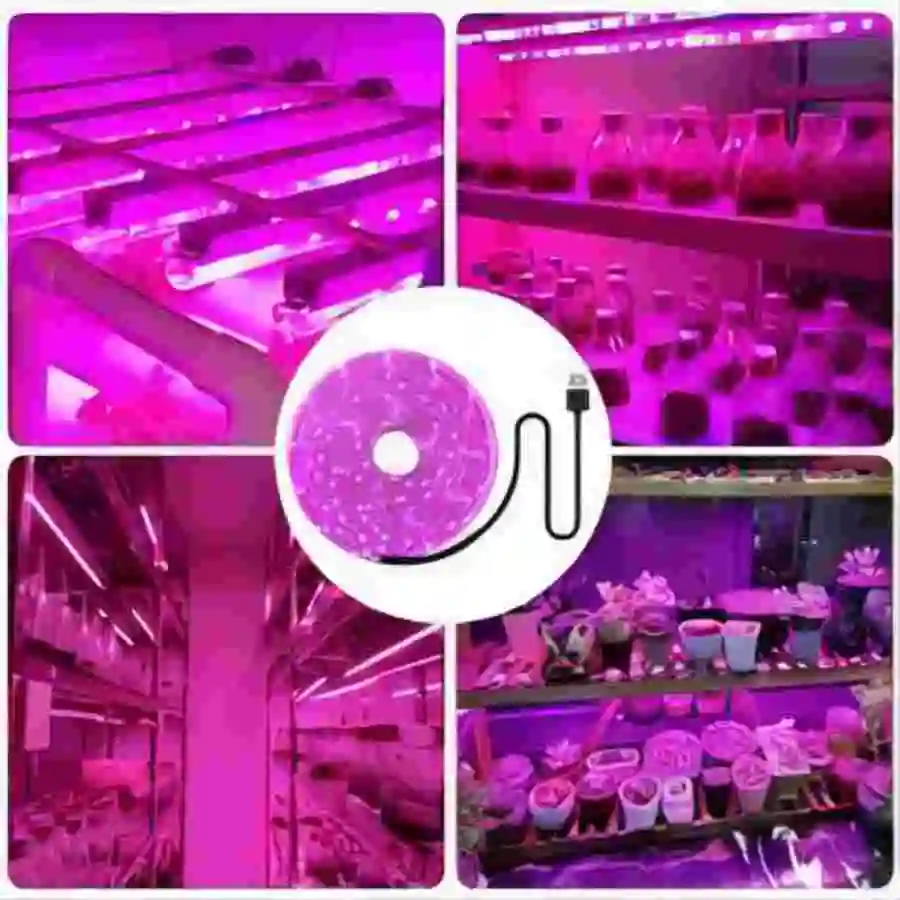 1M/2M/3M/5M/10M LED Full Spectrum LED Plant Growth Light 60 Lamp Beads/M Strip LED Fitolampy Greenhouse Plant Seed Growth Light
