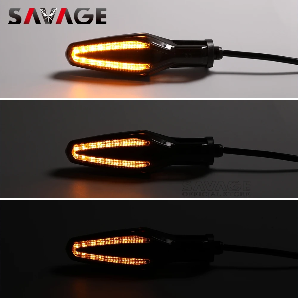 LED Turn Signal Light For BMW R1250GS LC ADV R1250 R1200 R/RS/GS R1200GS R1250RS R1250R Motorcycle Front/Rear Indicator Flashing