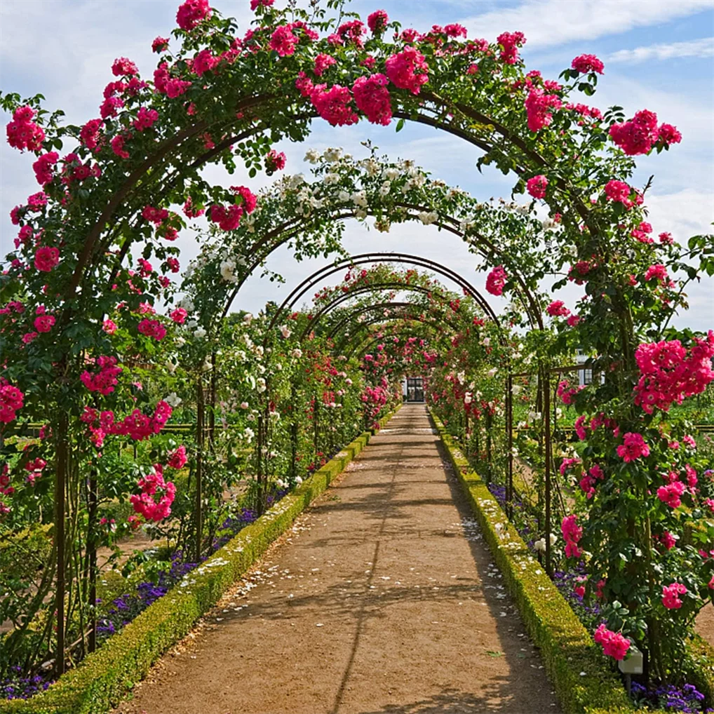 Metal Garden Arch Climbing Plant Trellis Outdoor Arbors Wedding Arch