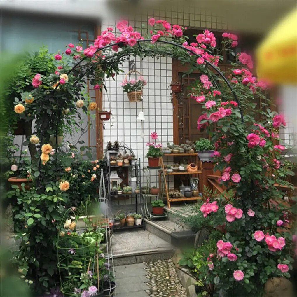 Metal Garden Arch Climbing Plant Trellis Outdoor Arbors Wedding Arch