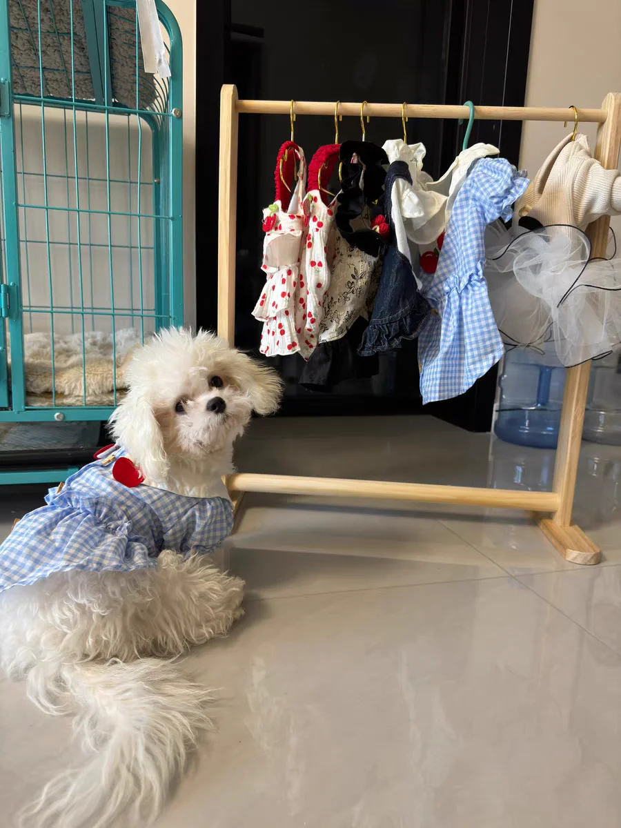 Pet Hanger Internet Celebrity Dog Clothes Rack Dog Clothes Rack Cabinet Solid Wood Storage Small Coat Rack Cat Floor Type