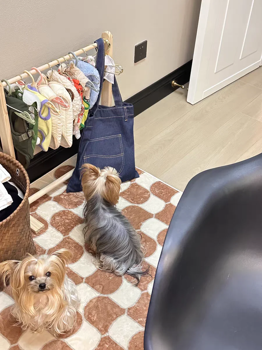 Pet Hanger Internet Celebrity Dog Clothes Rack Dog Clothes Rack Cabinet Solid Wood Storage Small Coat Rack Cat Floor Type