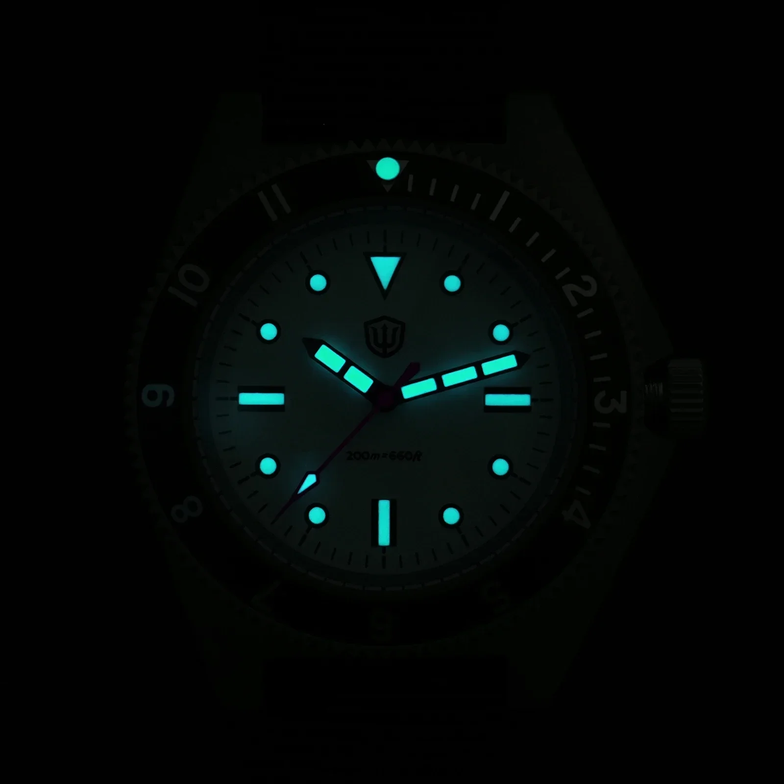 Watchdives WD1972 Quartz Watch VH31 Sweep Seconds Movement Sapphire Crystal BGW9 Luminous 20Bar Waterproof Vintage Men Watches