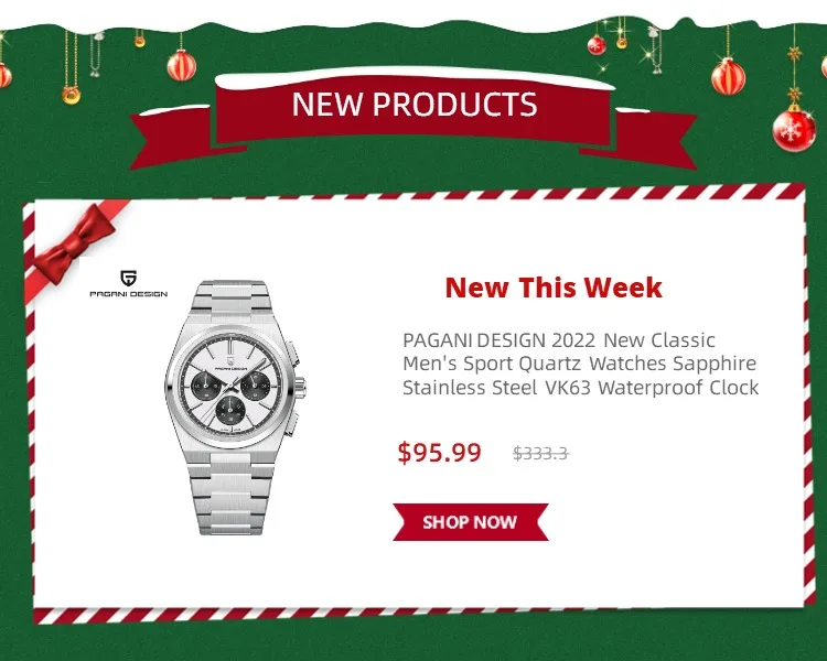 Original PAGANI DESIGN 1654 Fashion Casual Sports Watch Men Military Watch Stainless Steel Waterproof Quartz Watch Reloj Hombre