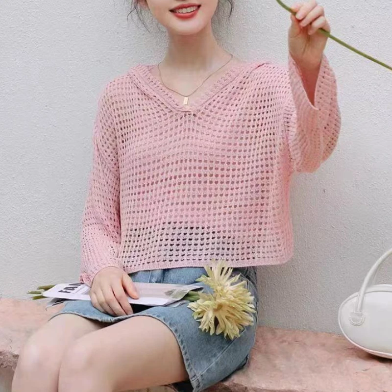 Pointelle Knit Hooded Sweater for Women Sheer Openwork Long Sleeve Boxy-fit Pullover Crop Top Teen-girl Spring Summer Y2K Outfit