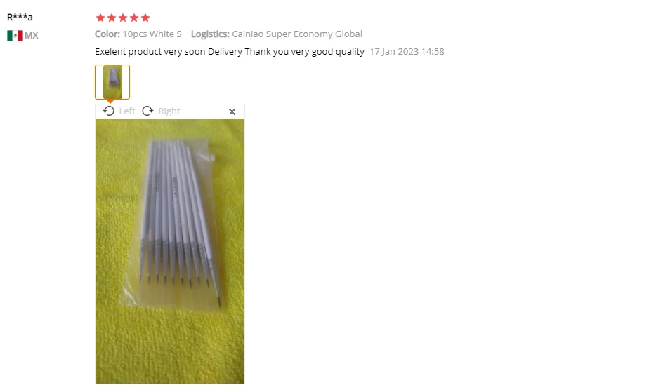 10Pcs Art Supplies Hand Painted Thin Hook Line Pen Drawing Art Pen Paint Brush Nylon Brush Acrylic Painting Pen Wholesale