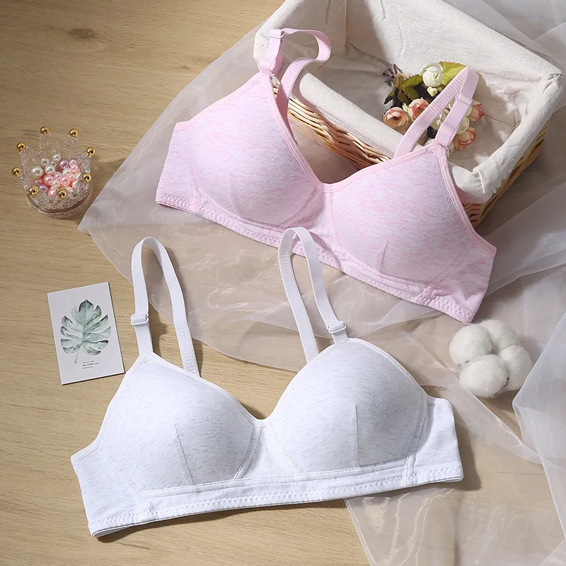 Female Underwear Women's Gathering Bra No Steel Ring Bra Thin Adjustable Bra Woman Clothes Breathable Comfortable Lingerie