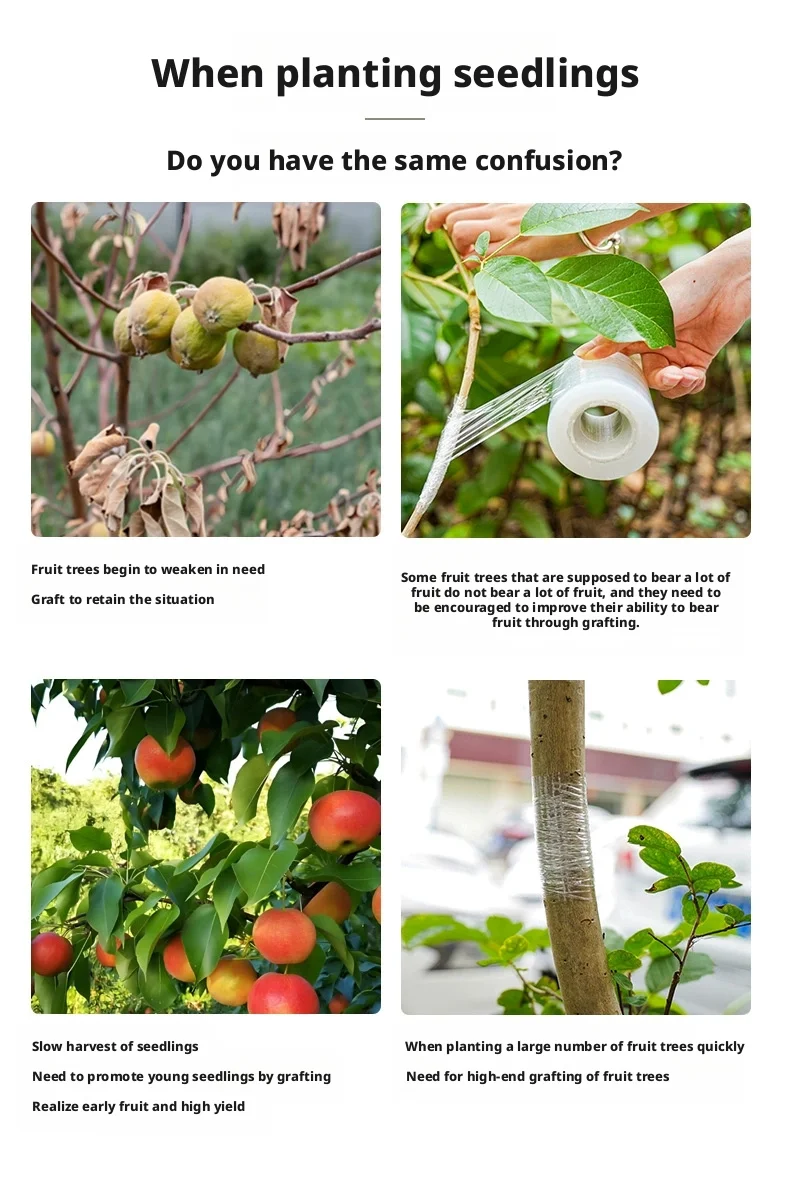 200M PE Grafting Tape Film Self-adhesive for Fruit Tree Nursery Plants Seedlings Vine Floristry Tomato Grafting Supplies Stretch