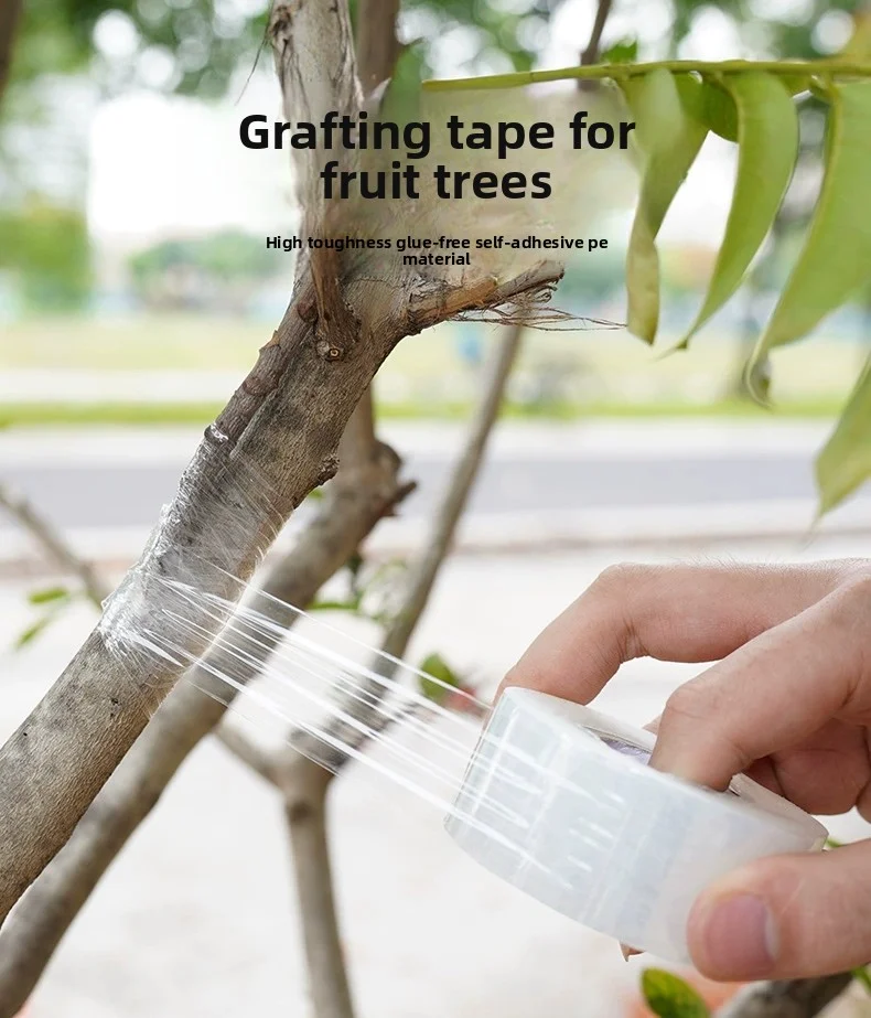 200M PE Grafting Tape Film Self-adhesive for Fruit Tree Nursery Plants Seedlings Vine Floristry Tomato Grafting Supplies Stretch