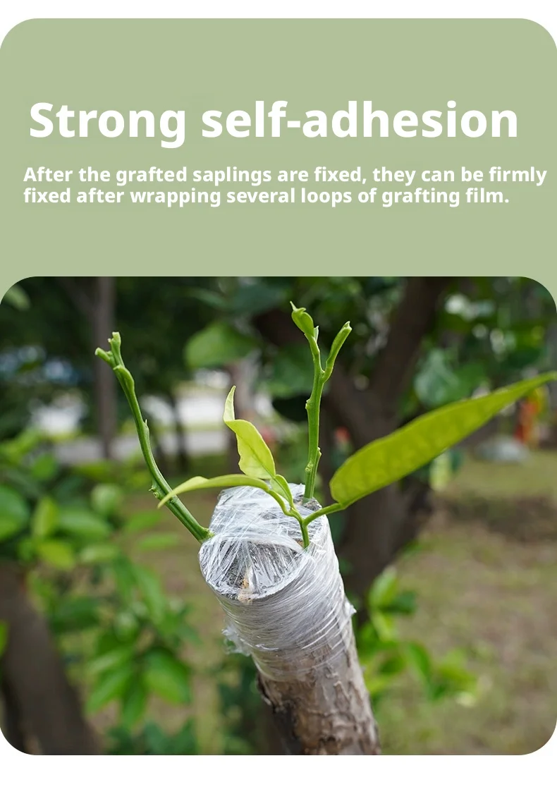 200M PE Grafting Tape Film Self-adhesive for Fruit Tree Nursery Plants Seedlings Vine Floristry Tomato Grafting Supplies Stretch