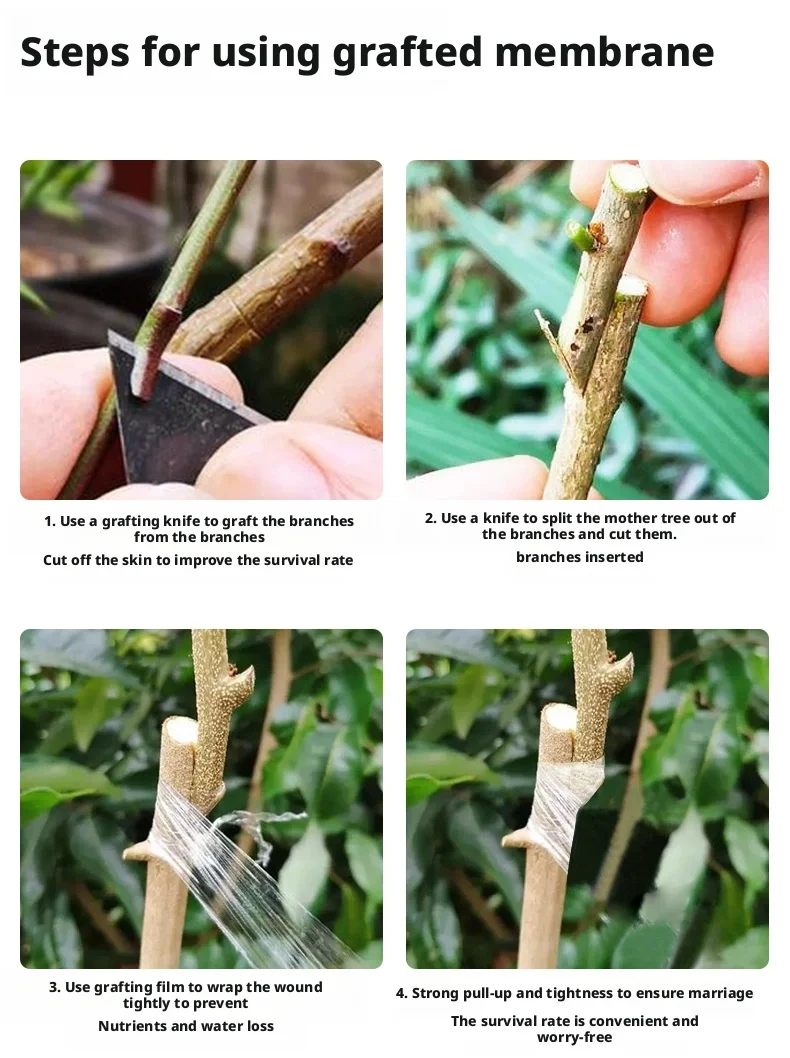 200M PE Grafting Tape Film Self-adhesive for Fruit Tree Nursery Plants Seedlings Vine Floristry Tomato Grafting Supplies Stretch