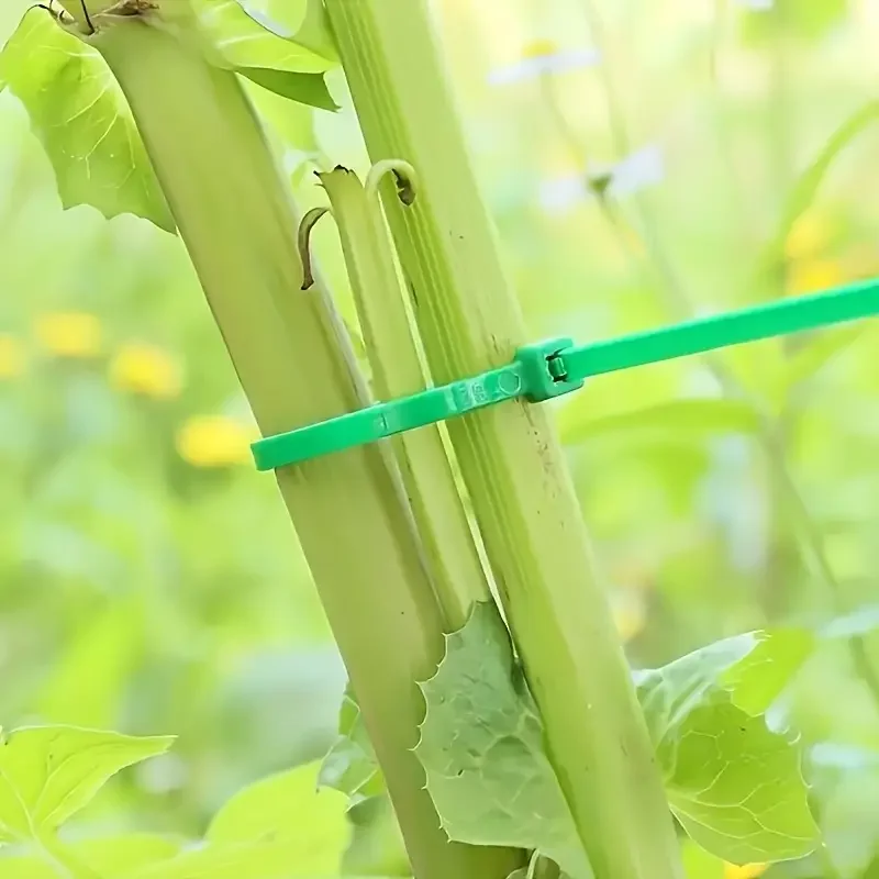 Reusable Garden Cable Ties Plant Vine Tree Shrubs Support Fastener Locking Nylon Adjustable Zipper Cables Ties Organizer Tools