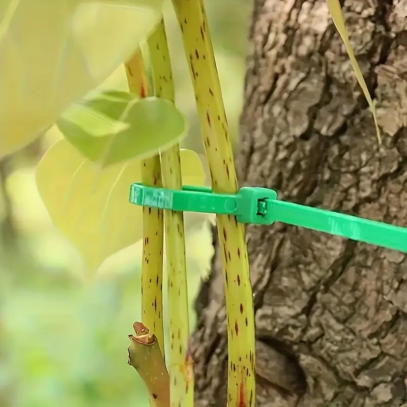 Reusable Garden Cable Ties Plant Vine Tree Shrubs Support Fastener Locking Nylon Adjustable Zipper Cables Ties Organizer Tools