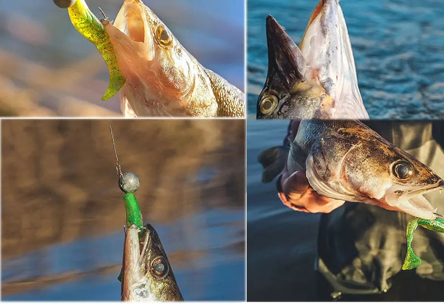MrLurion 30pcs 1g 2g 3g 5g 10g 14g 18g 22g 25g 28g Fishing jigging head hook ,round head rigs fishhook for soft worm crank lures