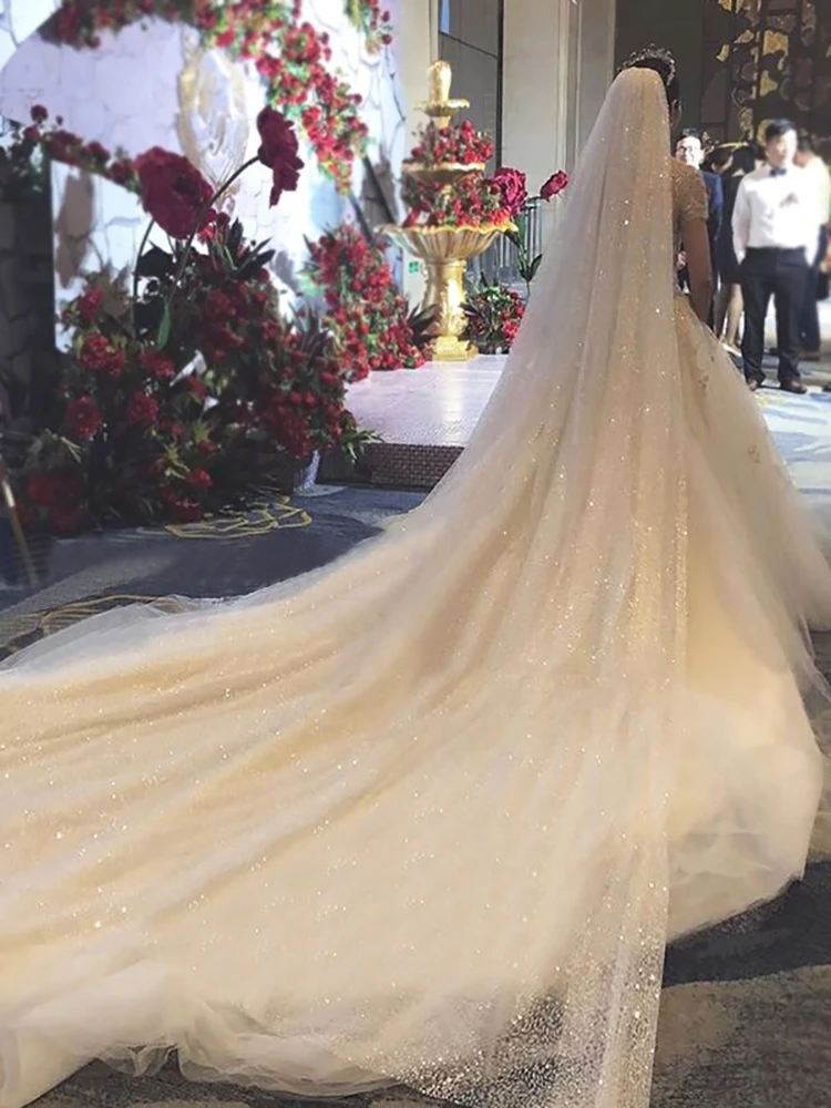 B58-D Sparkle Wedding Veil Champagne Colored Wedding Veils Bling Bridal Veils Long 3M/5M Bride Veil Luxury Cathedral Veil