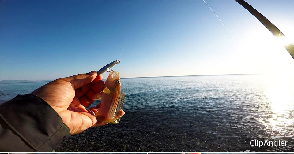 TSURINOYA 60S Sinking Minnow Fishing Lure DW67 60mm 6.1g Artificial Hard Bait Pike Bass Trout Jerkbait River Wobbler Crankbait