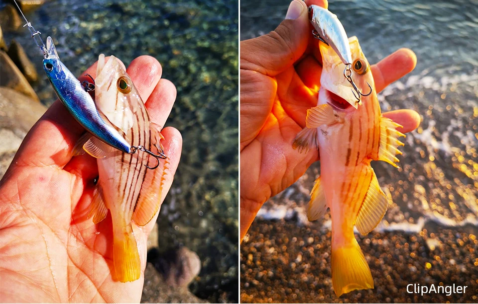 TSURINOYA 60S Sinking Minnow Fishing Lure DW67 60mm 6.1g Artificial Hard Bait Pike Bass Trout Jerkbait River Wobbler Crankbait