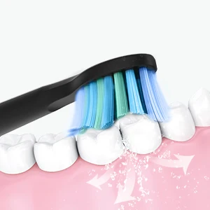 Fairywill Electric Sonic Toothbrush FW-507 USB Charge Rechargeable Adult Waterproof Electronic Tooth Brushes Replacement Heads 8