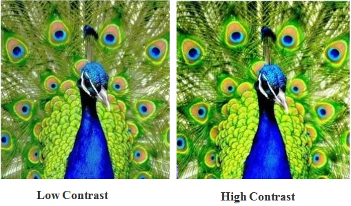 P3 Indoor Full Color LED Display Module SMD2121 64x32 Dots 1/16 Scan 192x96mm Led Panels for Sign Application