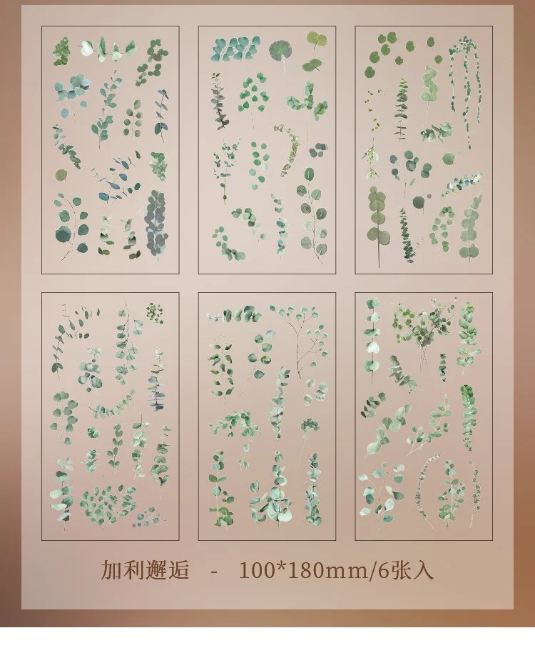 JIANQI 6pcs/pack Transparent PET Stickers Scrapbooking Materials DIY Junk Journal Collage Floral Leaves Plants Decor Stickers