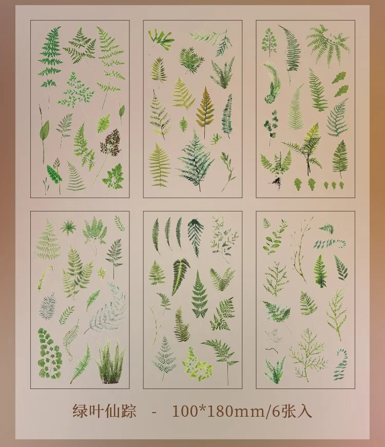 JIANQI 6pcs/pack Transparent PET Stickers Scrapbooking Materials DIY Junk Journal Collage Floral Leaves Plants Decor Stickers