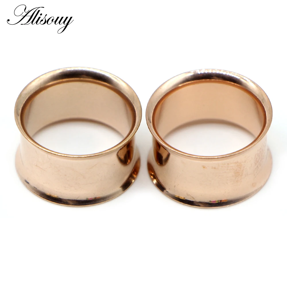 Alisouy 2pcs Ear Plug Kit Surgical Steel No-Screw Fit Ear Gauges Tunnel Expander Body Piercing Flare Earrings Plugs Stretching