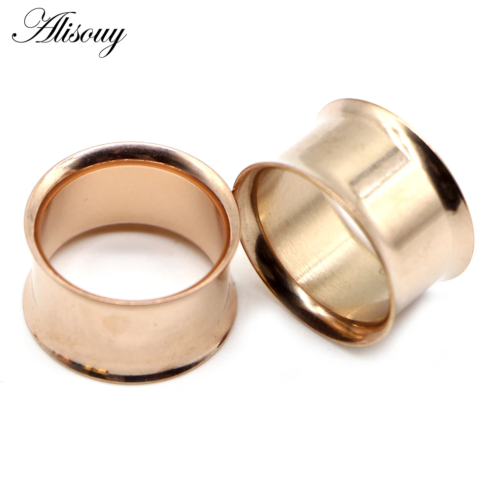 Alisouy 2pcs Ear Plug Kit Surgical Steel No-Screw Fit Ear Gauges Tunnel Expander Body Piercing Flare Earrings Plugs Stretching