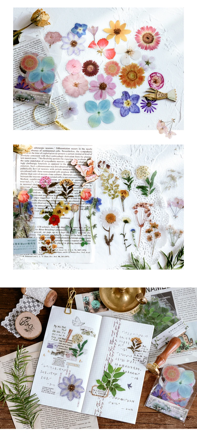 40Pcs/pack Plant Flower Mushroom Ginkgo PET Deco Diary Stickers Scrapbooking Planner INS Decorative Stationery Sticker