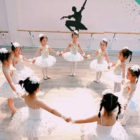 Ruoru Professional Ballerina Led Ballet Tutu For Child Children Kids Girls Adults Pancake Tutu Dance Costumes Ballet Dress Girls