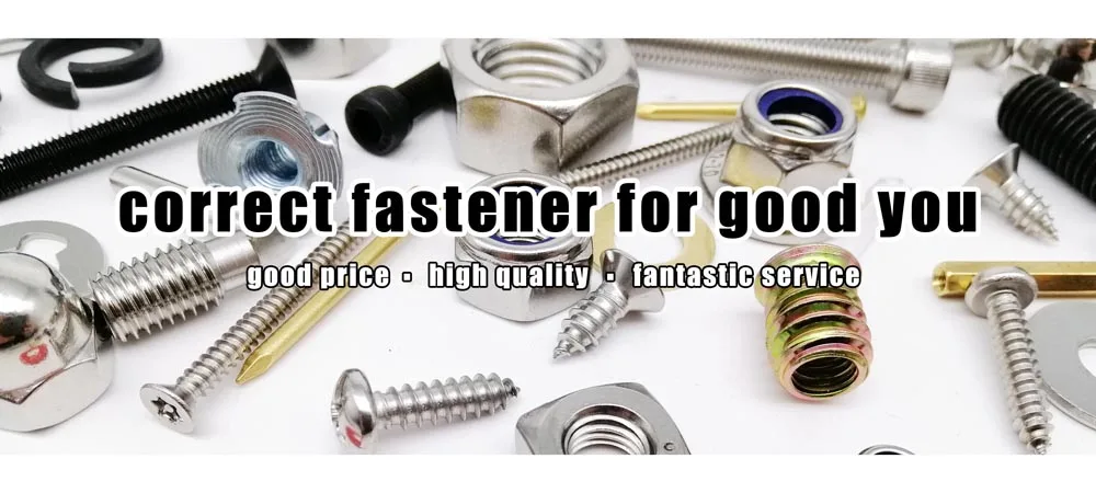 M4 M5 M6 M8 M10 Thickened Furniture Embedded Insert Nut Set Box Hex Socket Thread Wood Bed Cabinet Table E-nut High Quality