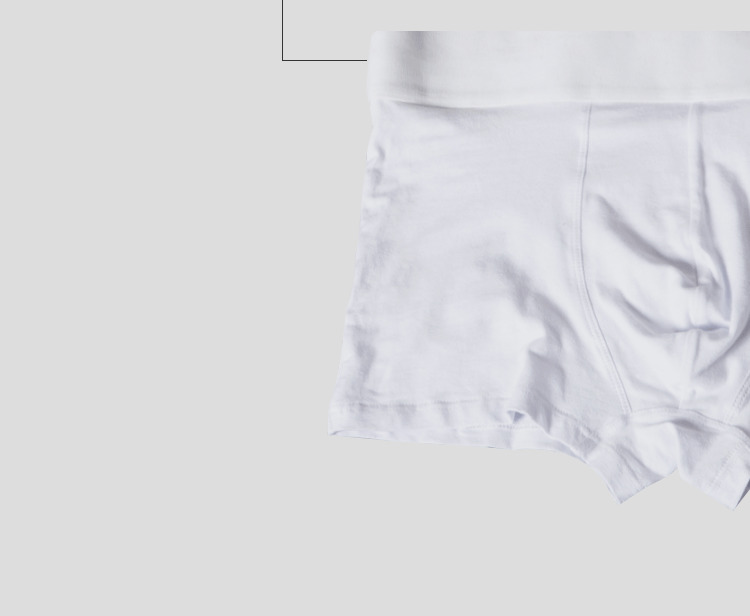 ORLVS Mens Boxer Sexy Underwear Soft Boxershorts Cotton Underpants Male Panties 3D Pouch Shorts Under Wear Pants Short