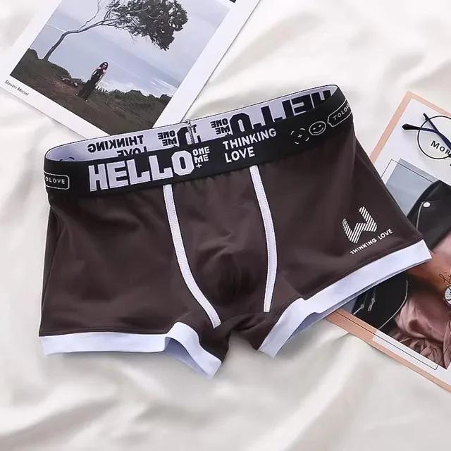 1/4 Pieces Men's Underwear Cotton Boxer Shorts Men's Underwear Boxer Pants Breathable U Convex Men's Underwear Sexy Plus Size