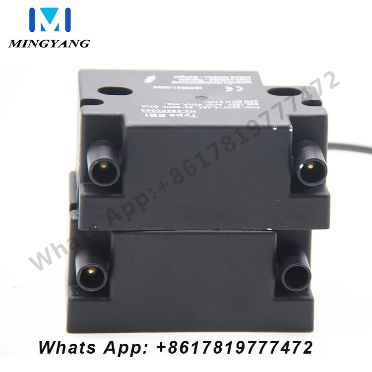 Igniter High Voltage Transformer Methanol Diesel Waste Oil Ignition Ceramic Ignition Needle High Voltage Continuous Ignition