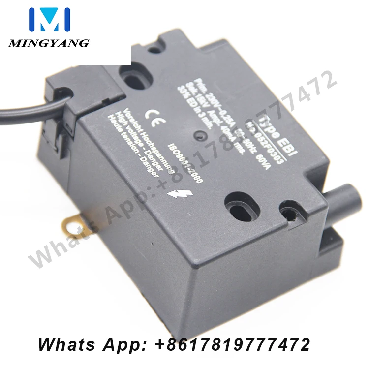 Igniter High Voltage Transformer Methanol Diesel Waste Oil Ignition Ceramic Ignition Needle High Voltage Continuous Ignition
