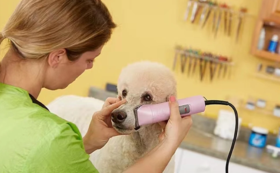7FC/5FC/4FC/#10/#15/#30/#40 Detachable Pet Dog Clipper Ceramic Pro Blades Set For Andis,Oster A5,Wahl KM10 Series Clippers