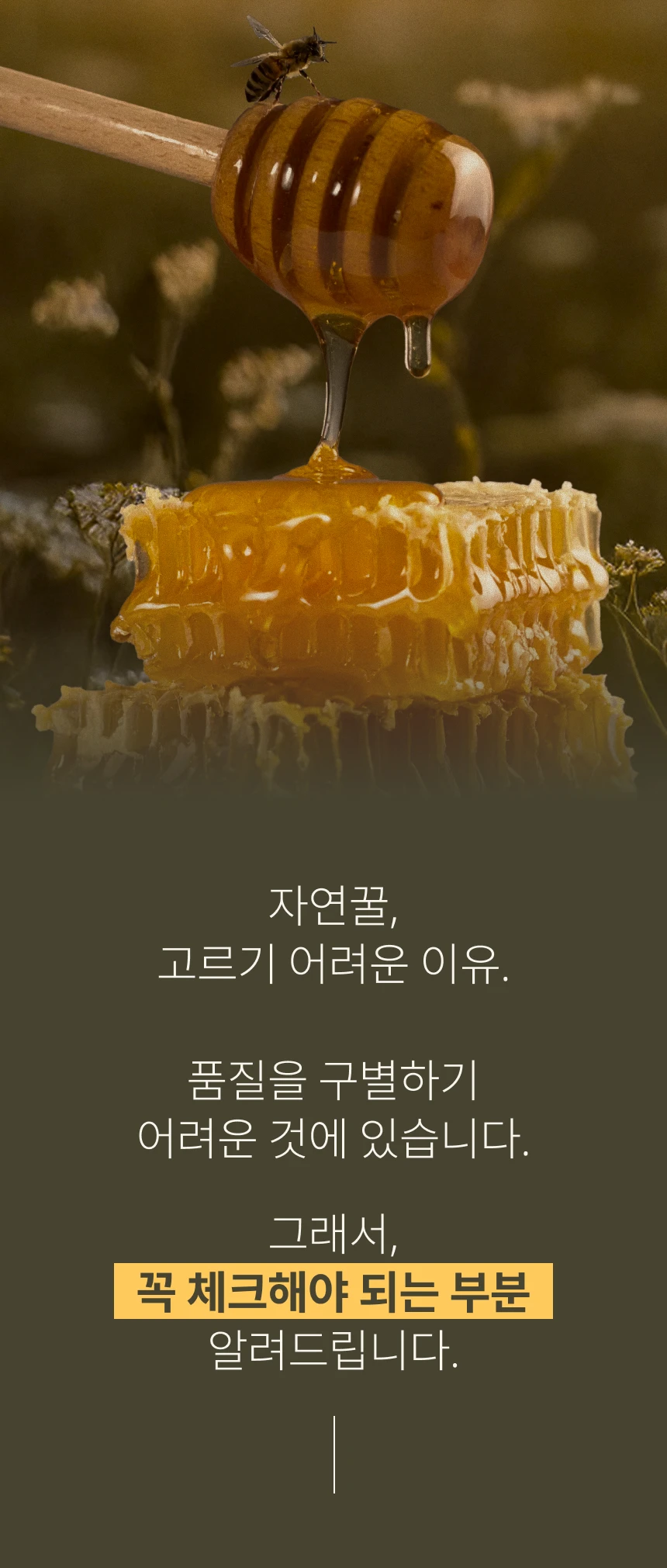 Flobees Wildflower Honey 2kg Vietnam Natural Honey Large Capacity