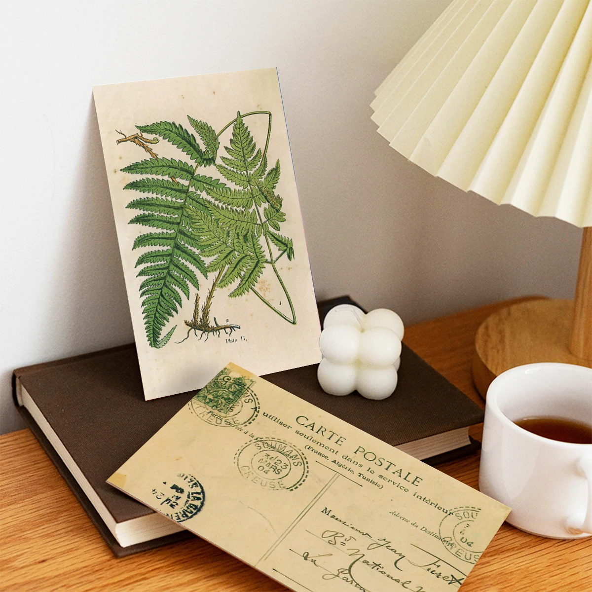 30pcs Retro Ancient Forest Animals Plants Specimen Postcard Vintage Writable Greeting Postcards,Wall Collage Kit Home Decoration