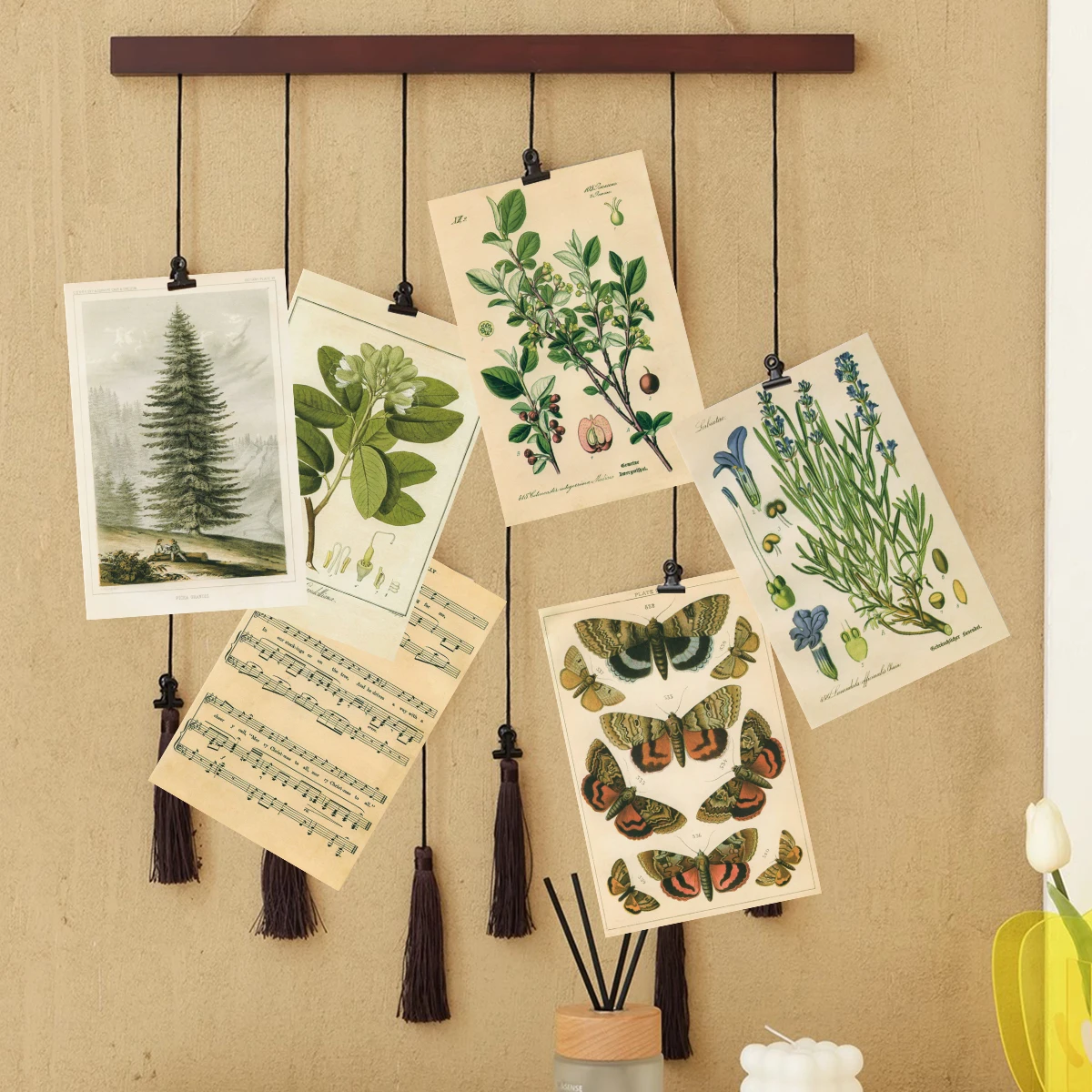 30pcs Retro Ancient Forest Animals Plants Specimen Postcard Vintage Writable Greeting Postcards,Wall Collage Kit Home Decoration