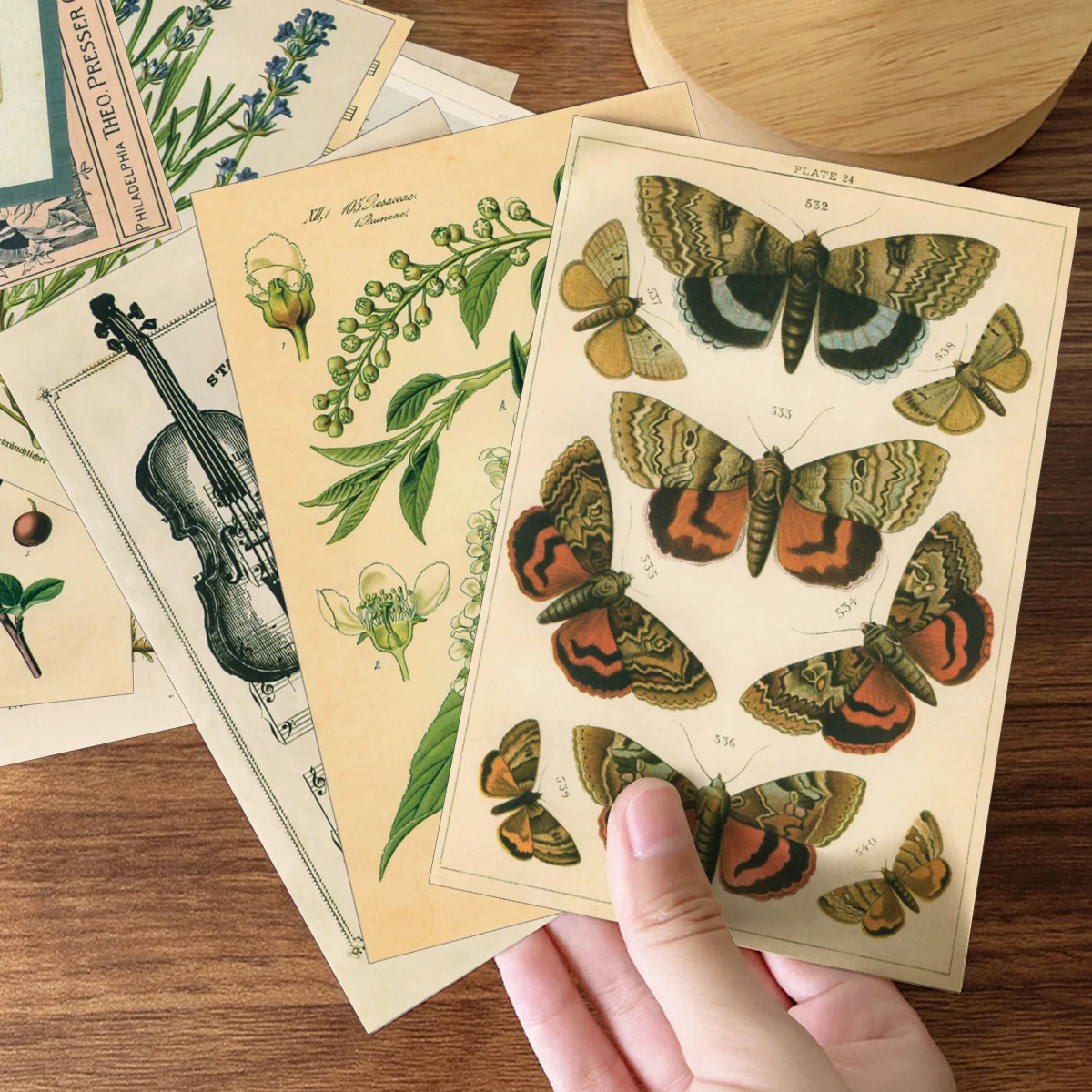 30pcs Retro Ancient Forest Animals Plants Specimen Postcard Vintage Writable Greeting Postcards,Wall Collage Kit Home Decoration