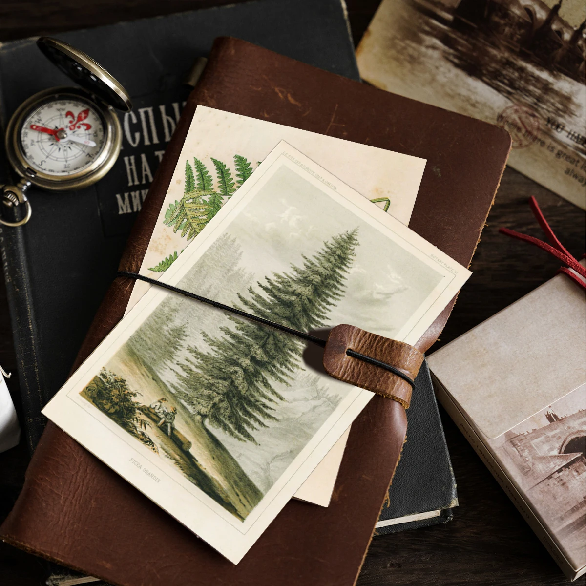 30pcs Retro Ancient Forest Animals Plants Specimen Postcard Vintage Writable Greeting Postcards,Wall Collage Kit Home Decoration
