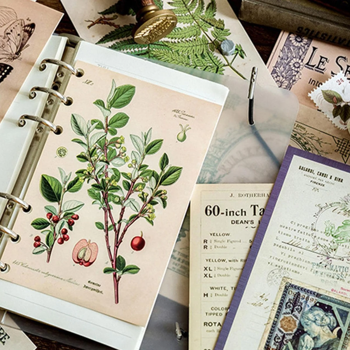 30pcs Retro Ancient Forest Animals Plants Specimen Postcard Vintage Writable Greeting Postcards,Wall Collage Kit Home Decoration