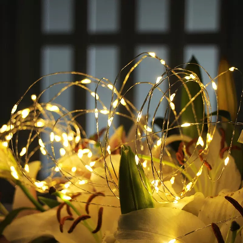 5M 10M Waterproof USB Battery LED Lights String Copper Wire Fairy Garland Light Lamp Christmas Wedding Party Holiday Lighting