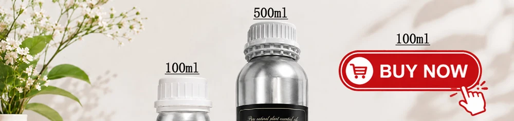 Scent Machine Aroma Diffuser Wall Mounted Hotel 160ML Aroma Diffuser With Fan Inside For Large Area Hotel Lobby Home Fragrance