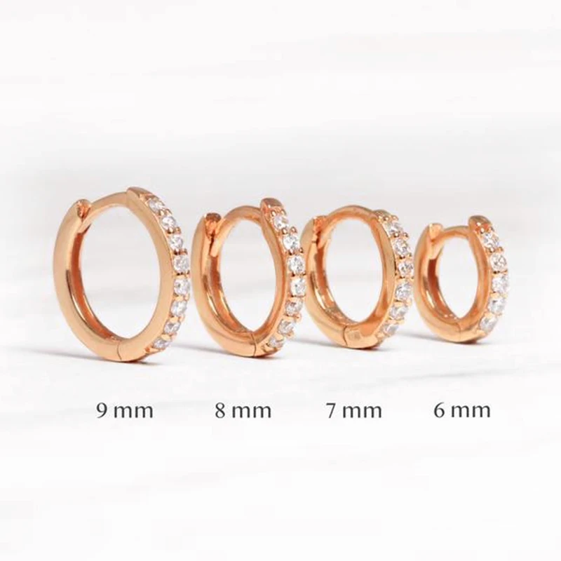 CANNER Real 925 Sterling Silver Hoop Earrings for Women Round Circle Earring Zircon Piercing Earings personalized Trend Jewelry