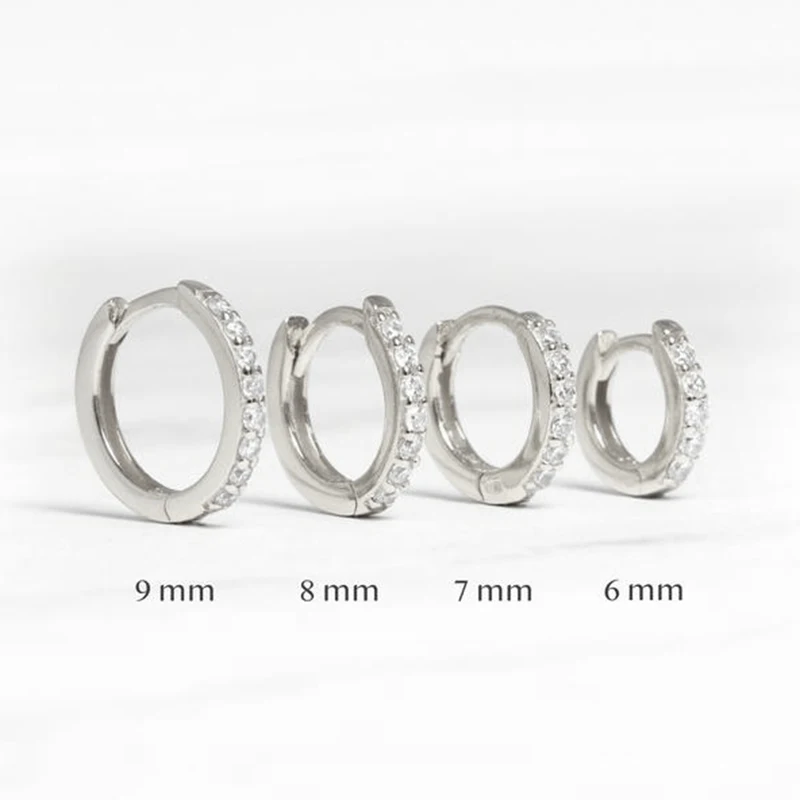 CANNER Real 925 Sterling Silver Hoop Earrings for Women Round Circle Earring Zircon Piercing Earings personalized Trend Jewelry