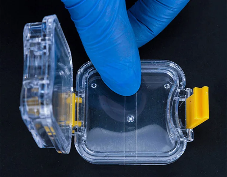 Plastic Transparent Dental Box Denture Storage Box with Film Membrane Colorful Hinge for Crown and Bridges