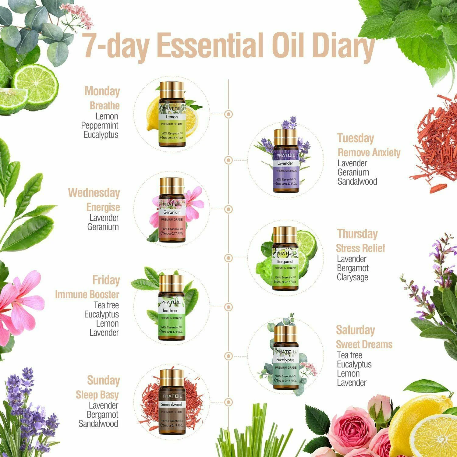 PHATOIL 12pcs Gift Box Pure Natural Essential Oils for Humidifiers Diffuser Massage Spa Lavender Lemongrass Tea Tree Citronella
