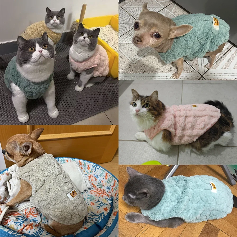 Cute Warm Cat Clothes Autumn Winter Fleece Sweater For Small Cats Dog Apparel Kitten Puppy Pullover Pet Sphynx Christmas Costume