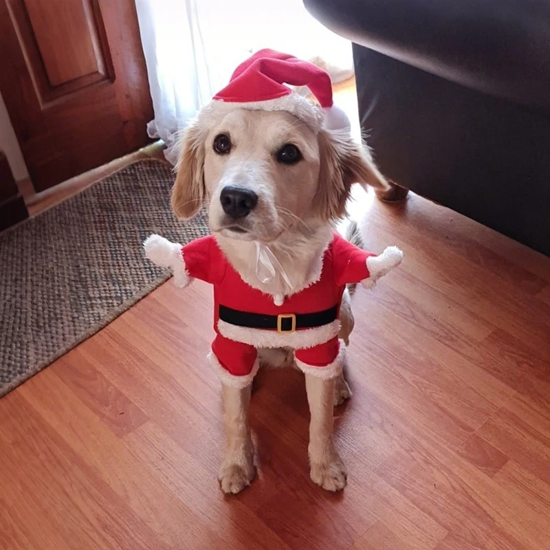 Cute Dog Santa Claus Outfit Christmas Costume for Small Dogs Cats Yorkie Cosplay Clothes Dress Up Jumpsuit Party Gifts Supplies
