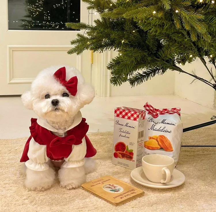 Puppy Bow Knot Dress Set Winter Warm Dog Clothes Pet Christmas Princess Dress Teddy Solid Color Skirt Send Clip
